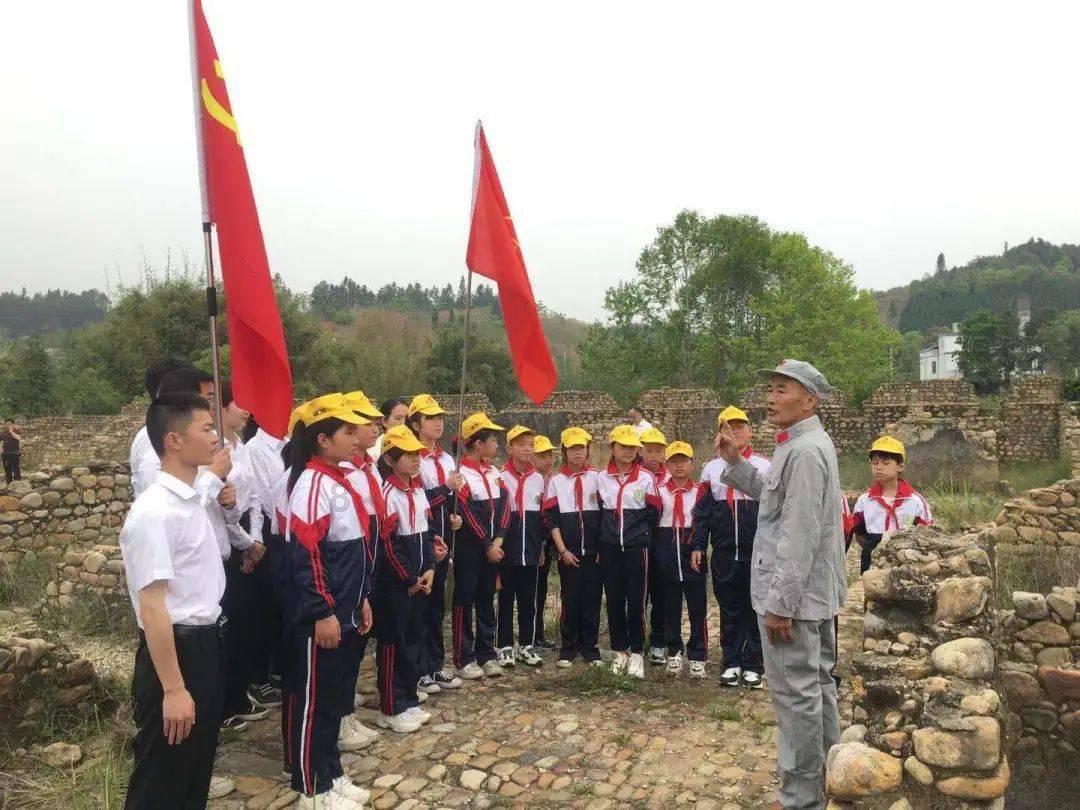 动物帮帮忙保卫家园