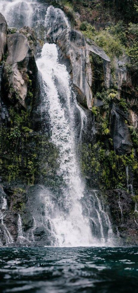 寻找答案,尽在秦海璐参加《中餐厅》被吐槽情商低,从哪些细节可以看出来?问答交流平台